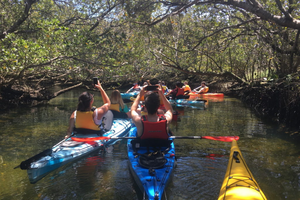 Home Dolphin Sanctuary Kayak Tours